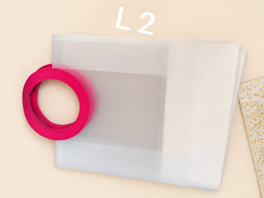 Frosted Transparent Gift Bag