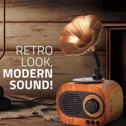 Retro speaker